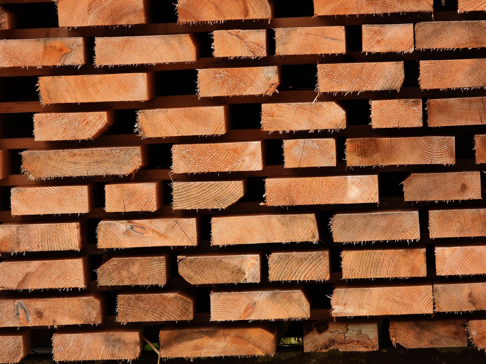 Vom Stamm zum Möbel: #01 Das Auftrennen der Holzbohle
