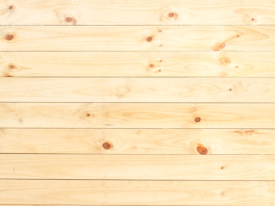 Holzsteckbrief Esche – hell, lebendig und erstaunlich widerstandsfähig
