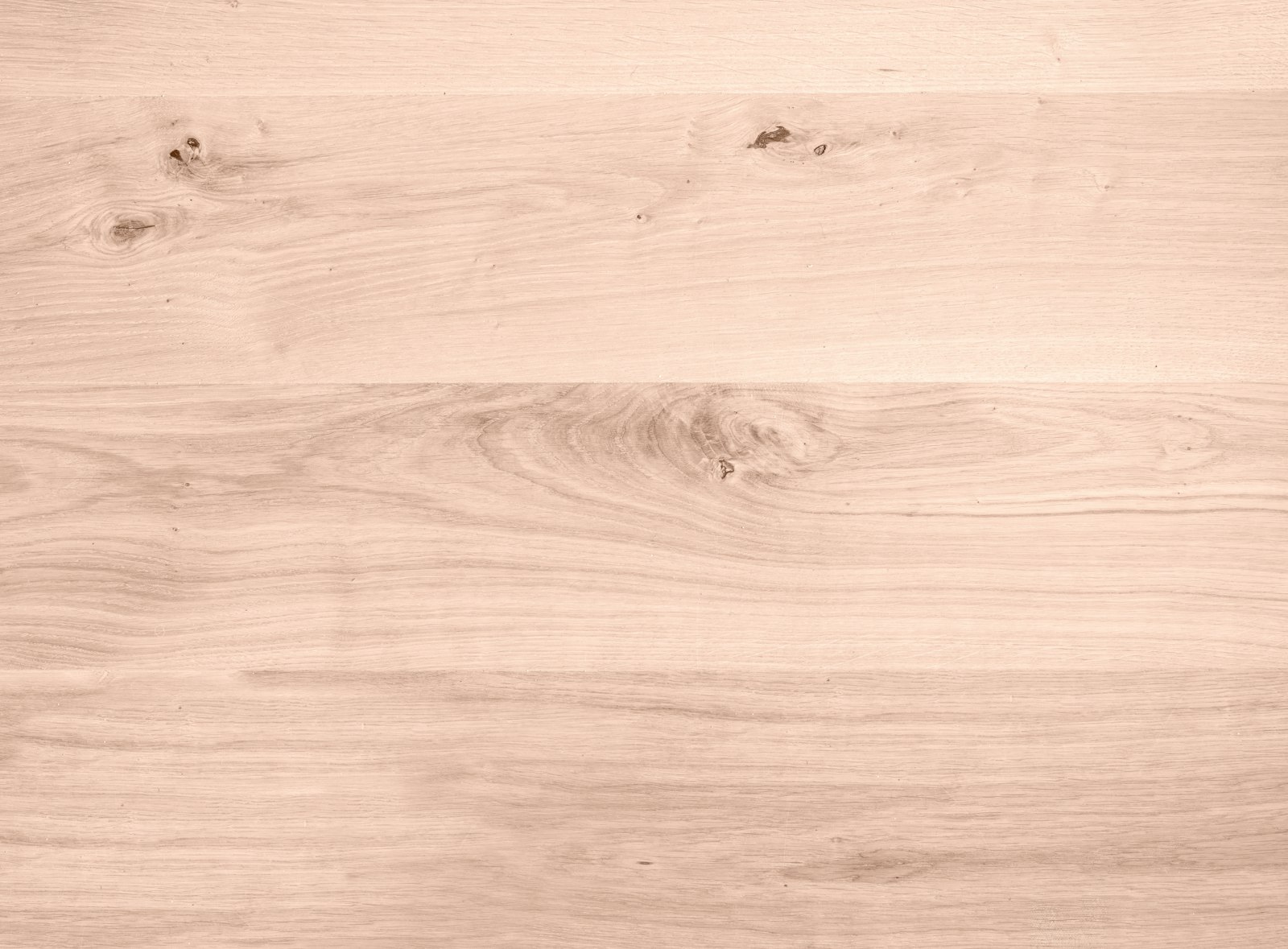 Ist Holz antibakteriell? – Holzfakten #02